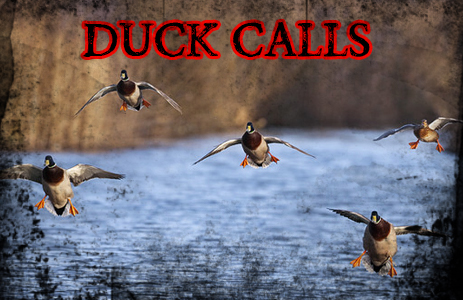 duckcalls