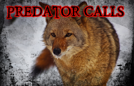 predator-calls